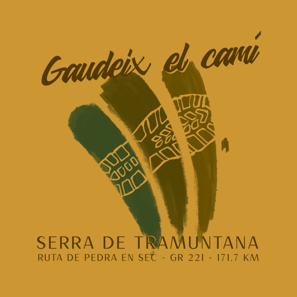 GAUDEIX EL CAMÍ - 7 colors