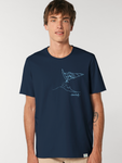 Windsurfing - 6 colors 