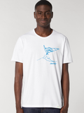 Windsurfing - 6 colors 