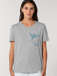 Windsurfing - 6 colors 