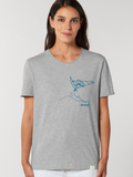 Windsurfing - 6 colors 