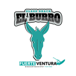 El Burro Glass Beach - 5 colors 